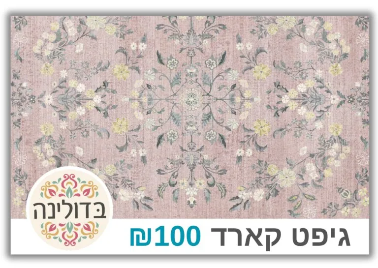 ₪100