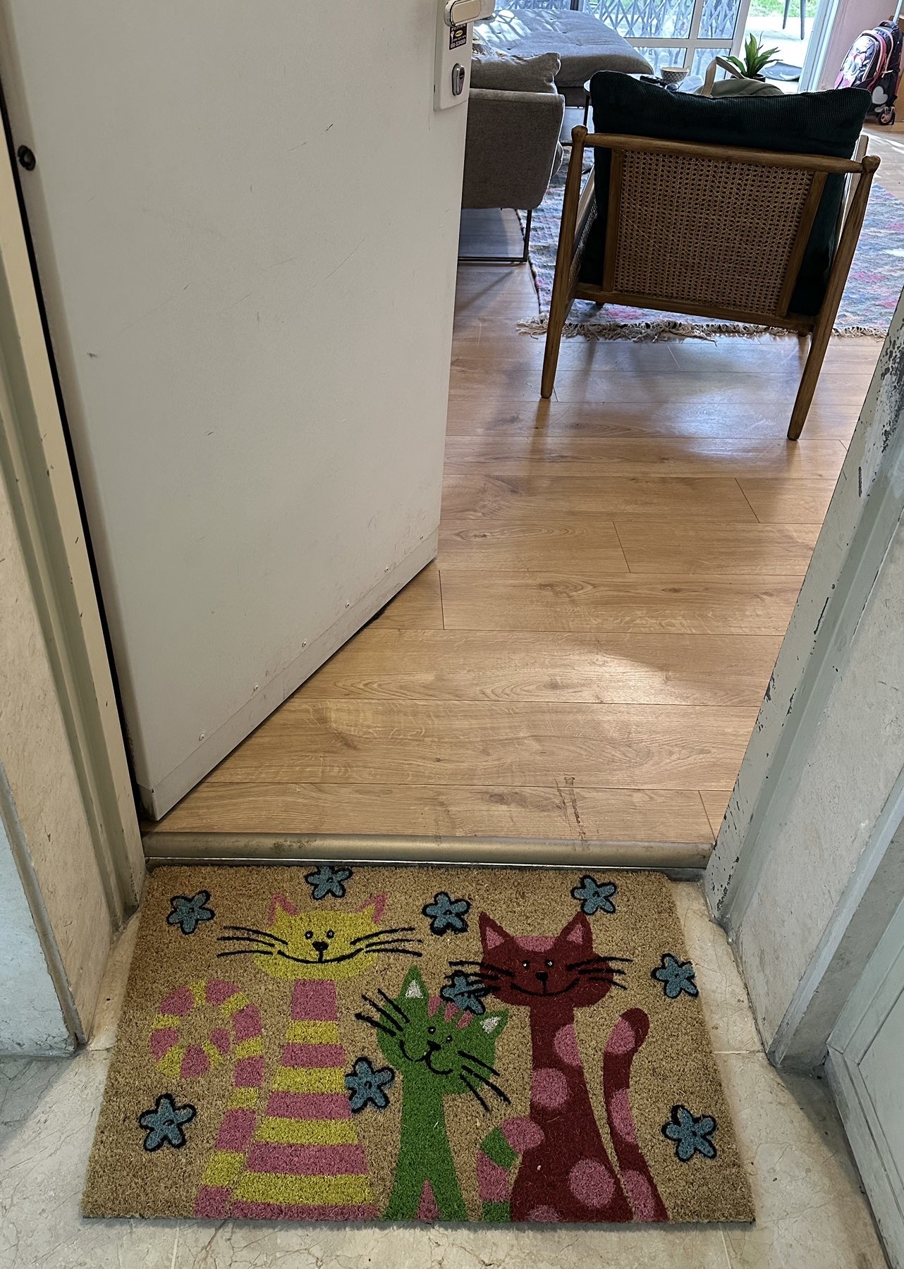 שטיח כניסה חתולים